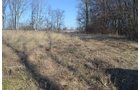 Property photo 29 - East Allen County - 55 Acre Land Auction